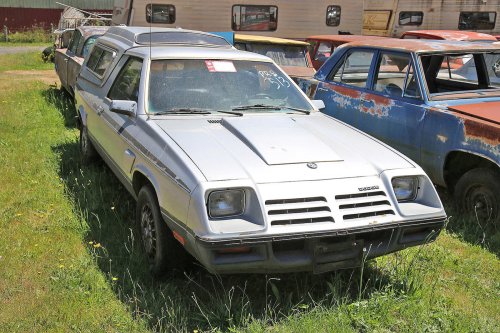 Mopar magic: Junkyard discoveries of Wildcat Auto Wrecking, Sandy, Oregon