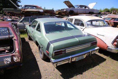 Mopar magic: Junkyard discoveries of Wildcat Auto Wrecking, Sandy, Oregon