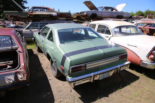 Mopar magic: Junkyard discoveries of Wildcat Auto Wrecking, Sandy, Oregon