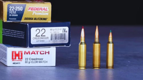 The .22 Creedmoor: Is it worth the buzz?