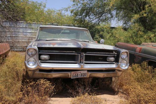 The junkyard gems of Desert Valley Auto Parts, Arizona