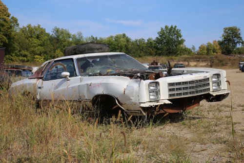 Junkyard treasures from French Lake Auto Parts, Annandale, Minnesota