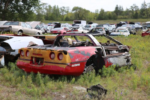 More junkyard discoveries of Windy Hill Auto Parts, New London, Minnesota