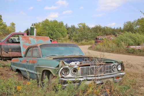 More junkyard discoveries of Windy Hill Auto Parts, New London, Minnesota