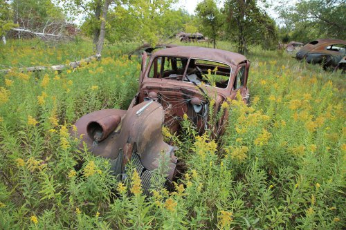 More junkyard discoveries of Windy Hill Auto Parts, New London, Minnesota
