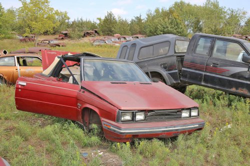 More junkyard discoveries of Windy Hill Auto Parts, New London, Minnesota
