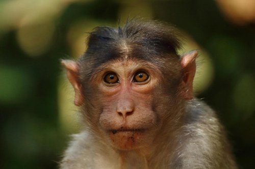 Great motoring myths – which are true and which aren’t?