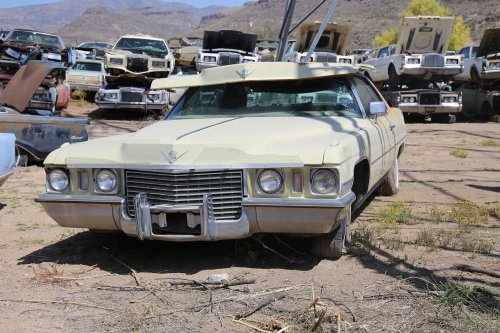 The junkyard discoveries of Black Canyon, Arizona