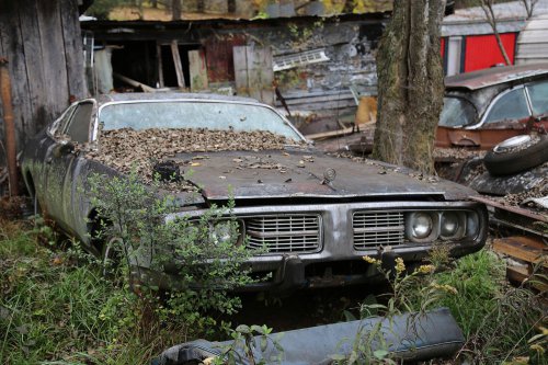 The junkyard discoveries of Denton Auto Parts in New Market, Tennessee