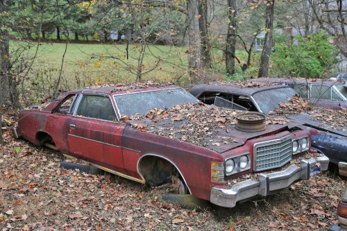 The junkyard discoveries of Denton Auto Parts in New Market, Tennessee