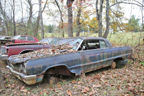 The junkyard discoveries of Denton Auto Parts in New Market, Tennessee