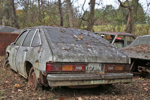 The junkyard discoveries of Denton Auto Parts in New Market, Tennessee