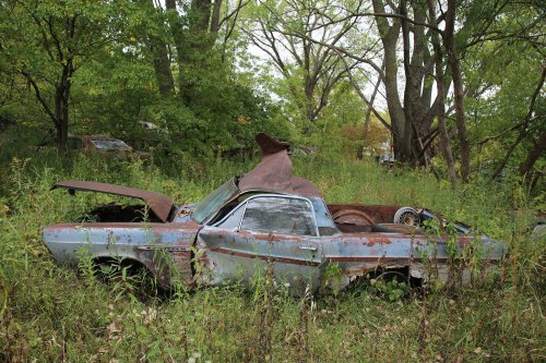 Junkyard discoveries from Ron’s Auto Salvage in Allison, Iowa