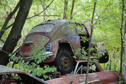 Junkyard discoveries from Ron’s Auto Salvage in Allison, Iowa