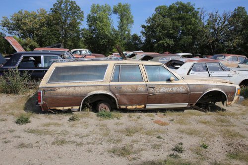 The junkyard finds from French Lake Auto Parts, Annandale, Minnesota