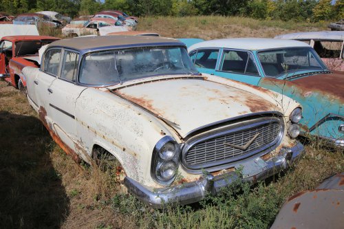 The junkyard finds from French Lake Auto Parts, Annandale, Minnesota