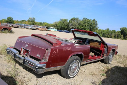 The junkyard finds from French Lake Auto Parts, Annandale, Minnesota