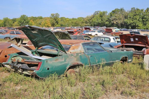 The junkyard finds from French Lake Auto Parts, Annandale, Minnesota