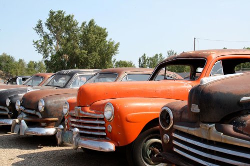 The junkyard gems of Doug’s Auto Parts in Marshall, Minnesota