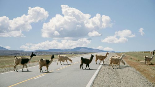 The top 10 EV markets in the world &amp; 10 countries that are lagging behind