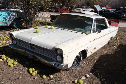 The junkyard discoveries of CTC Auto Ranch, Texas