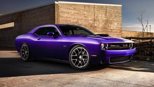 Scat Pack vs Hellcat: Picking the right model for you