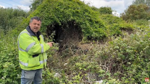 Rare world-first sports car found in a hedge