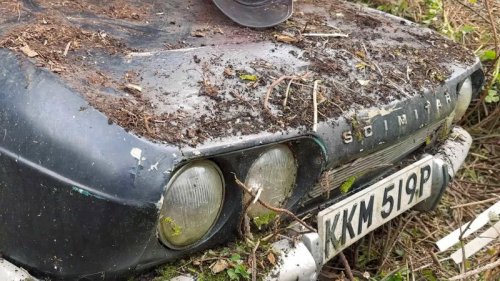 Rare world-first sports car found in a hedge