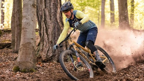 20 tips for choosing the best bicycle