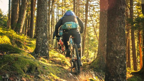 20 tips for choosing the best bicycle