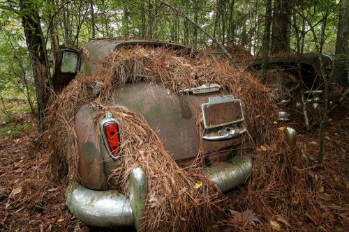 The charming junkyard gems of Old Car City, White, Georgia