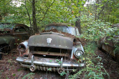 The charming junkyard gems of Old Car City, White, Georgia