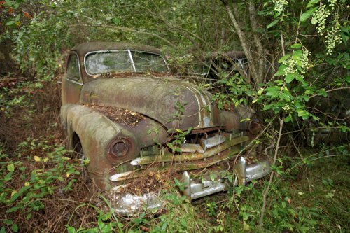 The charming junkyard gems of Old Car City, White, Georgia