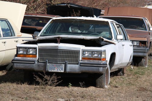 The junkyard discoveries of CTC Auto Ranch, Texas