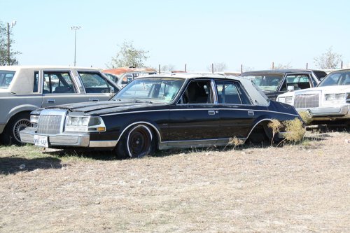 The junkyard discoveries of CTC Auto Ranch, Texas