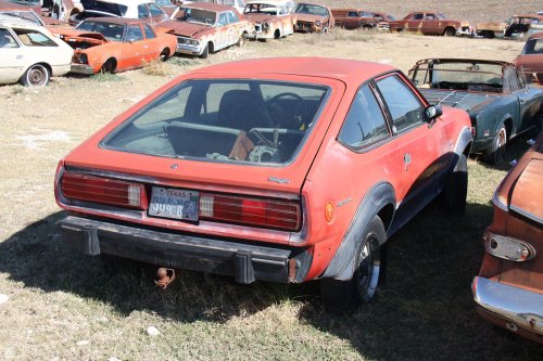 The junkyard discoveries of CTC Auto Ranch, Texas