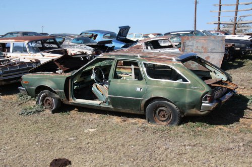 The junkyard discoveries of CTC Auto Ranch, Texas
