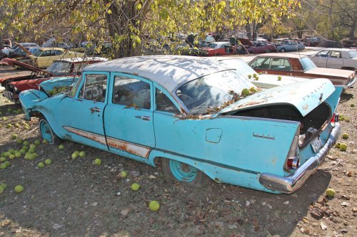 The junkyard discoveries of CTC Auto Ranch, Texas