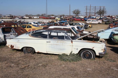 The junkyard discoveries of CTC Auto Ranch, Texas