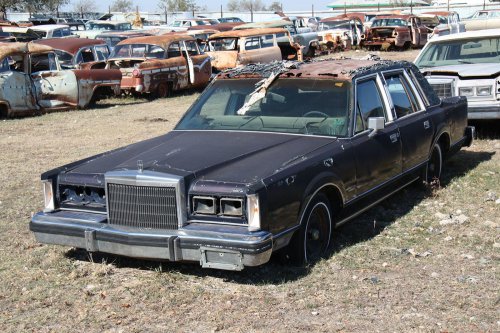 The junkyard discoveries of CTC Auto Ranch, Texas