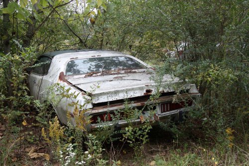 The charming junkyard gems of Old Car City, White, Georgia