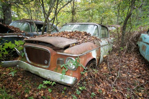 The charming junkyard gems of Old Car City, White, Georgia