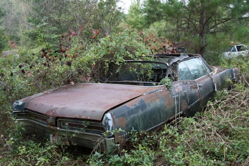 The charming junkyard gems of Old Car City, White, Georgia