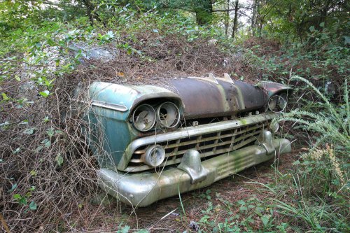 The charming junkyard gems of Old Car City, White, Georgia