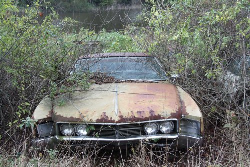 The charming junkyard gems of Old Car City, White, Georgia