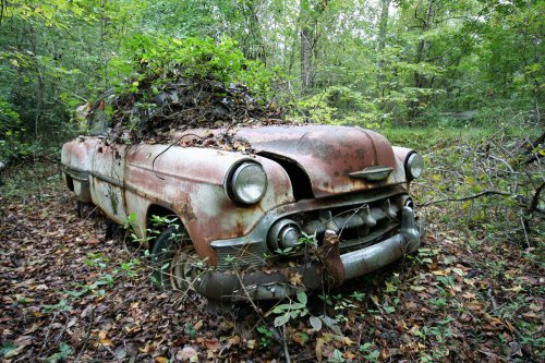 The charming junkyard gems of Old Car City, White, Georgia