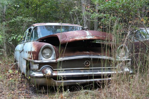 The charming junkyard gems of Old Car City, White, Georgia