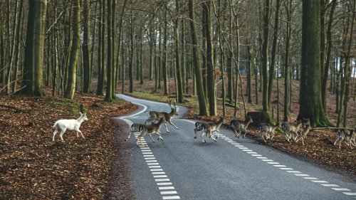 Traffic jams can't always be avoided and here are 20 reasons why