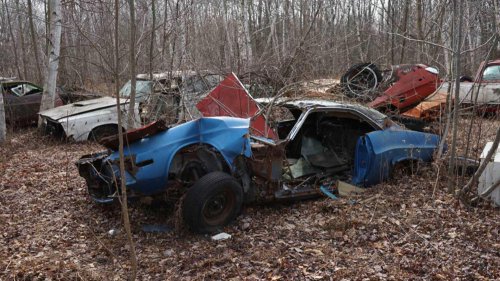 This forest of forgotten Mopar muscle will make classic car fans cry