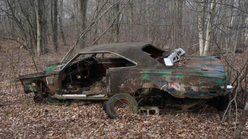 This forest of forgotten Mopar muscle will make classic car fans cry